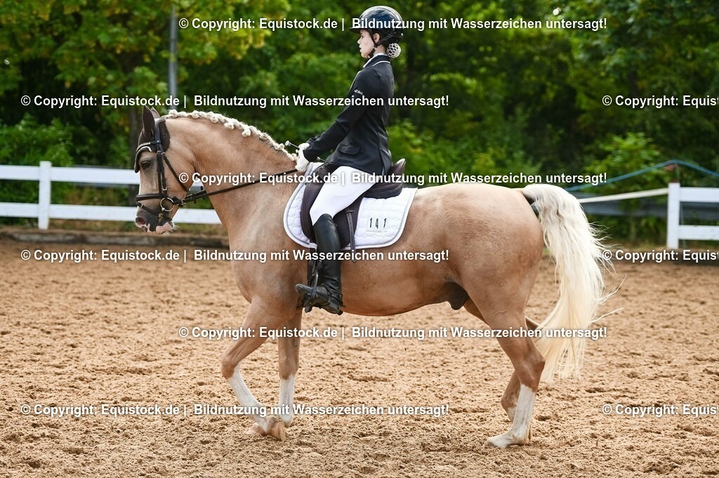 20230716_04_Dressurreiterprüfung Kl.A_0343 | equistock