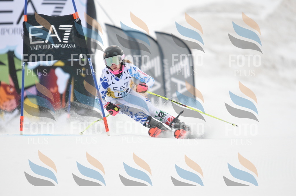 DSC_8108 | holidayphoto