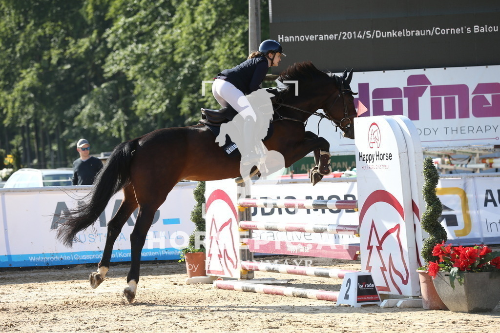 DL2Q0489 | Willkommen bei Brunnmayr - Design & Fotografie – Ihrem Spezialisten für Reitturniere und Pferdeveranstaltungen in Oberösterreich, Salzburg und Bayern! Seit über 17 Jahren sind wir leidenschaftlich dabei.