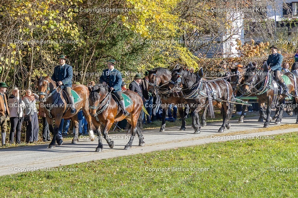 LBT25-446 | foto-bettina-krinner - Realisiert mit Pictrs.com