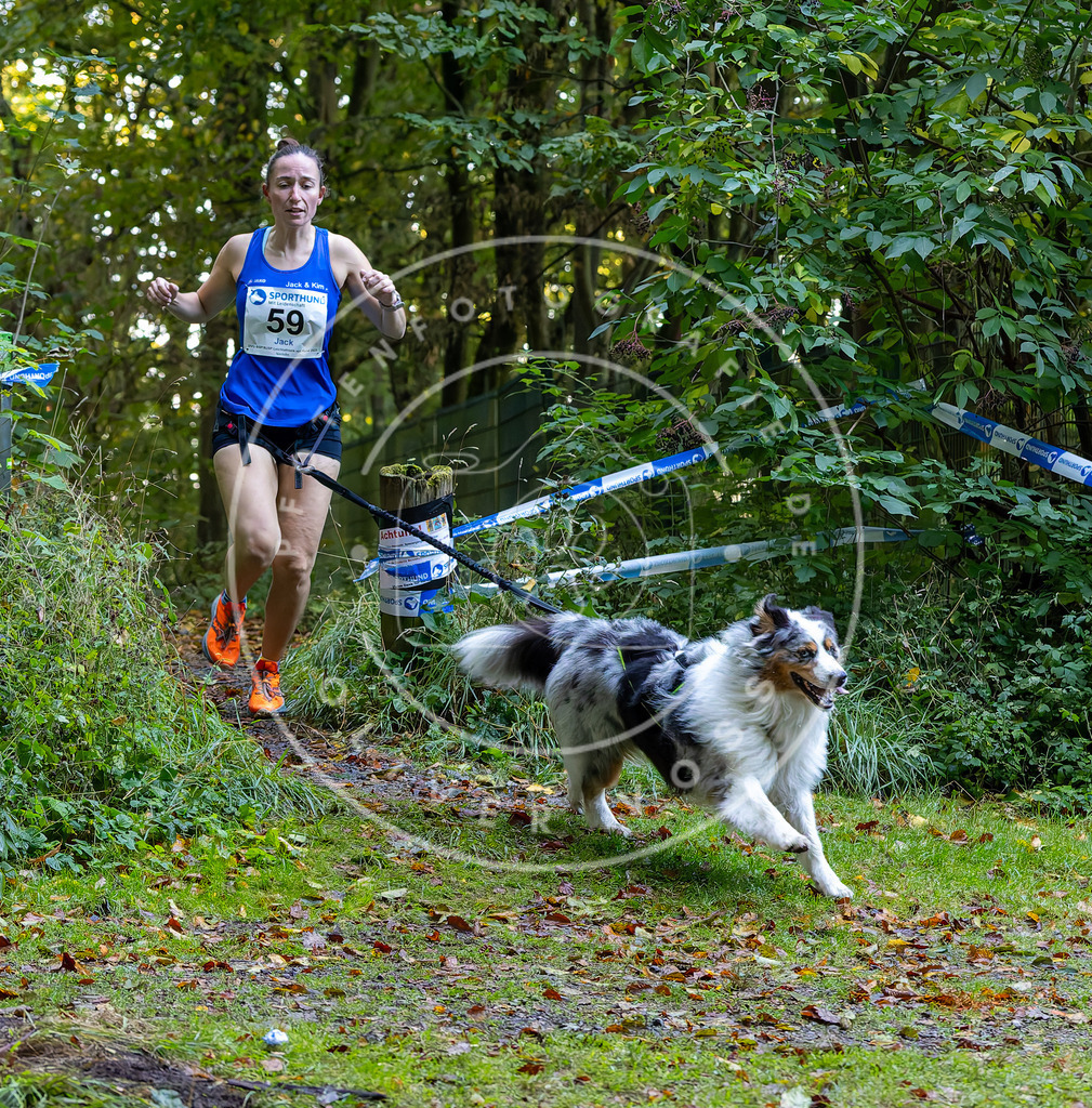 Pfotenfotografie_DV3A7164 | Hundefotografie, Tierfotograf, Pfotenfotografie, Fotoshooting Hund, Hunde Portrait, Hundesport, Hundeportraits, Heideshooting, Hunde, Sportfotograf, Hundefotograf, Turnierhundsport, THS,  - Realisiert mit Pictrs.com