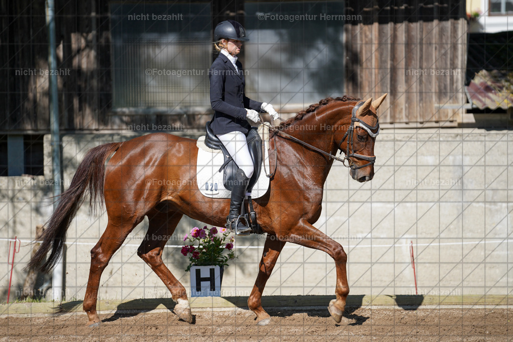 20240519-FAH04615 | Turnierbilder Niederseeon 2024, Vielseitigkeitsdressur, Reitsportbilder aus dem Landkreit Ebersberg, Gut Steinsee, RC Steinsee, Fotoagentur Herrmann