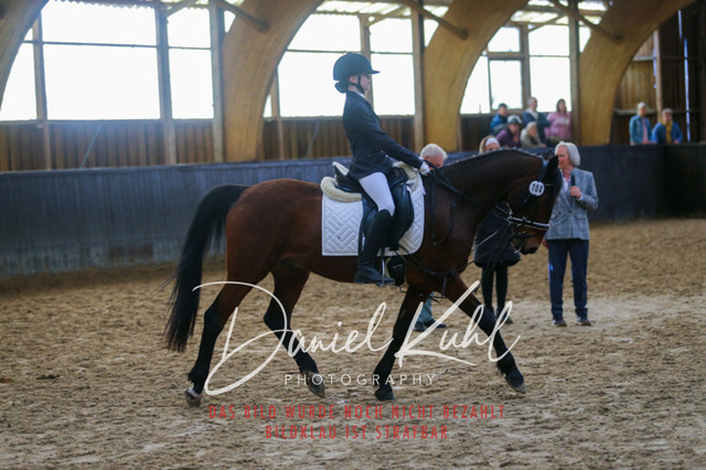 IMG_1534 | Turniersportfotografie; Pferdefotografie; Dressurfotografie