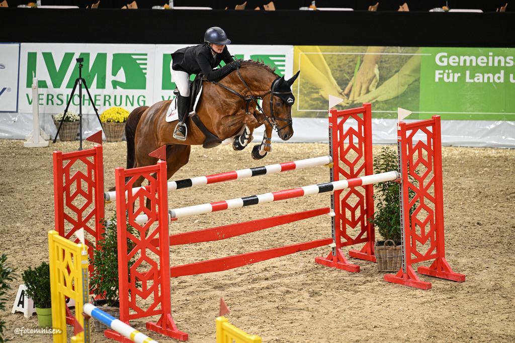 301025-11-018 | Foto Mhisen Pferdefotografie#, Reitturnier Frankfurt#  #Dressur und Springen
#Profi Pferdefotograf Reitturnier Fotograf 
#Sport Horses Photographer 
#equestrain photographer - Realisiert mit Pictrs.com