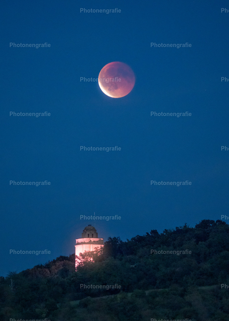 Ingelheim-17 | Photonengrafie´s Shop - Realisiert mit Pictrs.com