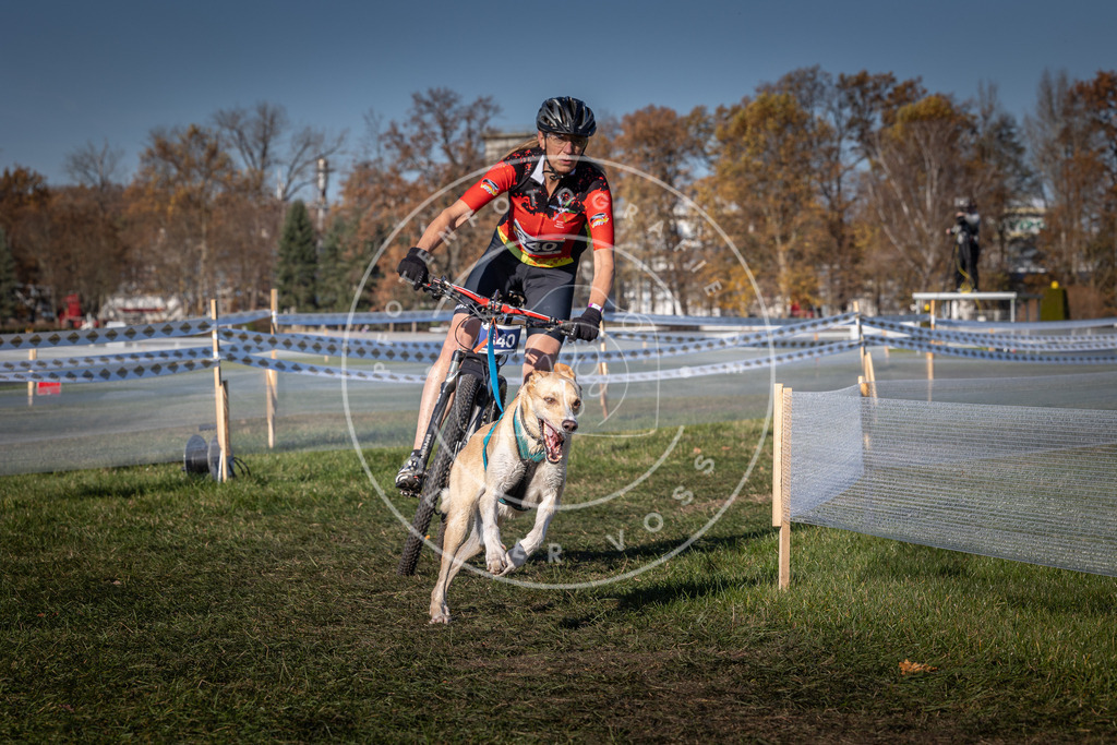 CaniXpix_0L8A5903 | Hundefotografie, Tierfotograf, Pfotenfotografie, Fotoshooting Hund, Hunde Portrait, Hundesport, Hundeportraits, Heideshooting, Hunde, Sportfotograf, Hundefotograf, Turnierhundsport, THS,  - Realisiert mit Pictrs.com