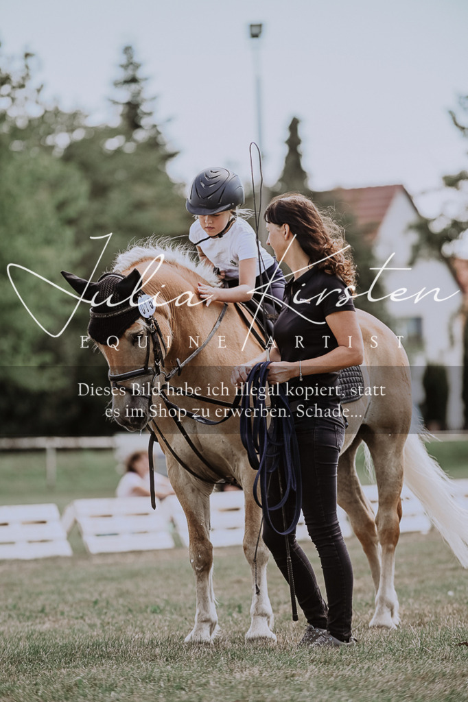 DSC_7713 | Pferde- und Turnierfotografie in Westsachsen. Pferdeportraits, Auftragszeichnungen und intuitive Kunst.