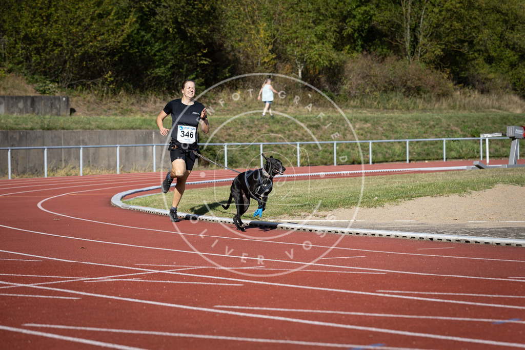 Pfotenfotografie_DV3A9021 | Hundefotografie, Tierfotograf, Pfotenfotografie, Fotoshooting Hund, Hunde Portrait, Hundesport, Hundeportraits, Heideshooting, Hunde, Sportfotograf, Hundefotograf, Turnierhundsport, THS,  - Realisiert mit Pictrs.com