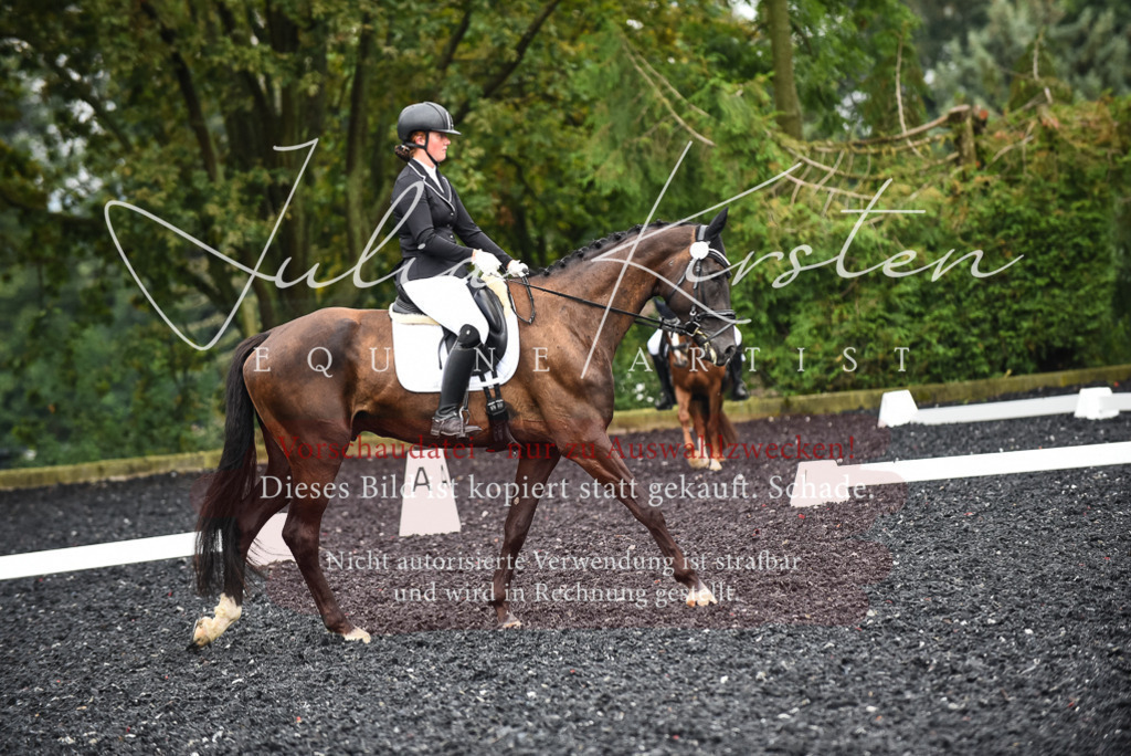 DSC_2812 | Pferde- und Turnierfotografie in Westsachsen. Pferdeportraits, Auftragszeichnungen und intuitive Kunst.