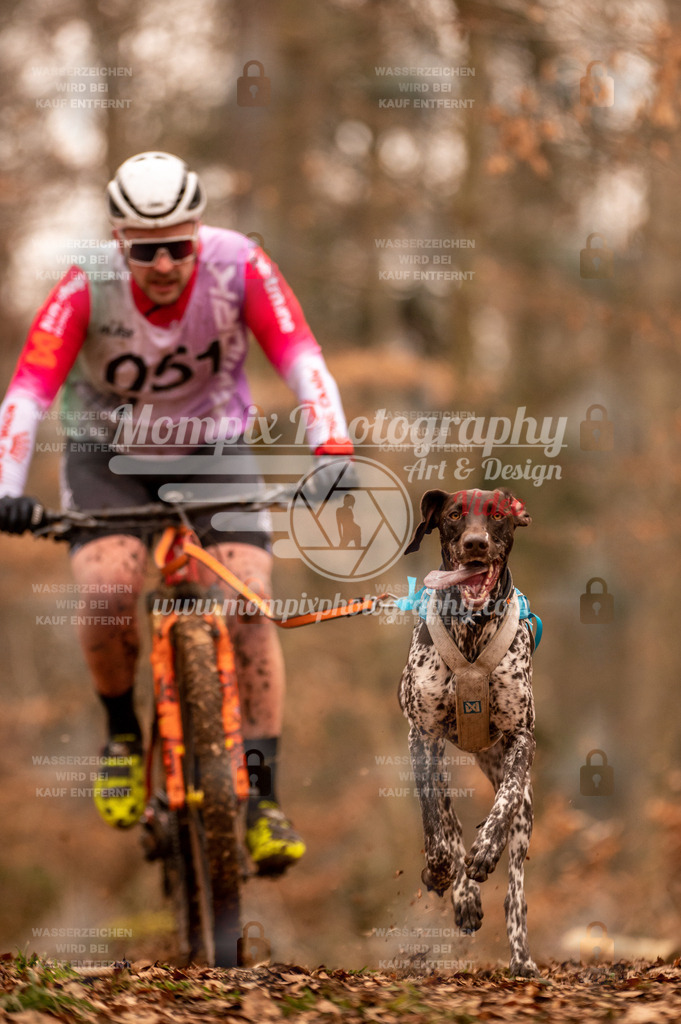 AKM_ST_2023_SAM_Bike-5 | PayLife