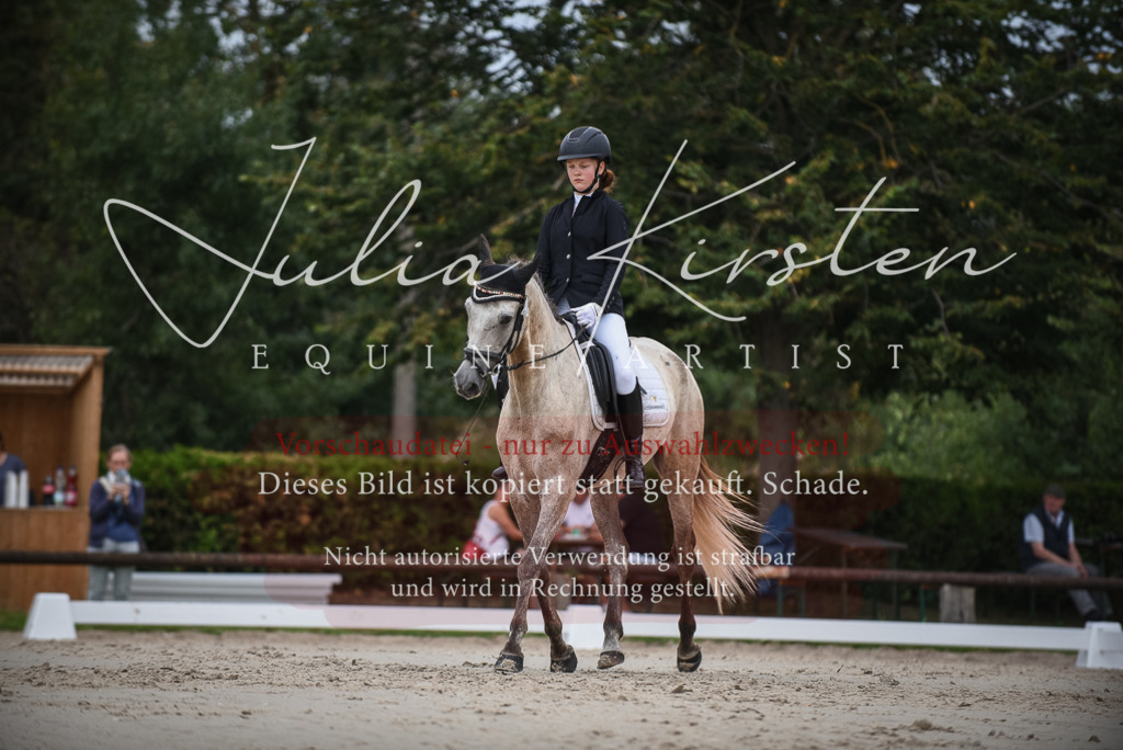 DSC_8205 | Pferde- und Turnierfotografie in Westsachsen. Pferdeportraits, Auftragszeichnungen und intuitive Kunst.