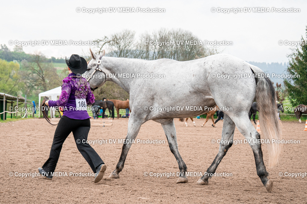 BA300093 | dv-media-shop - Realisiert mit Pictrs.com