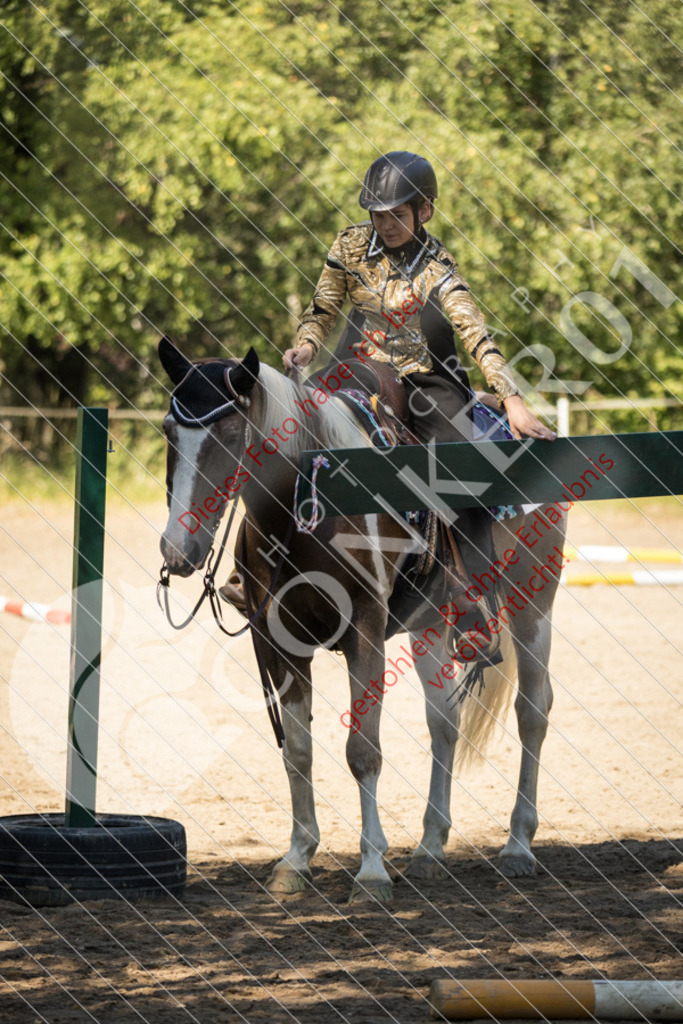 IMG_7629 | Sport-, Event- und Tierfotos in Profiqualität. Einfach auswählen, bestellen und herunterladen. Dein Moment – perfekt festgehalten.
