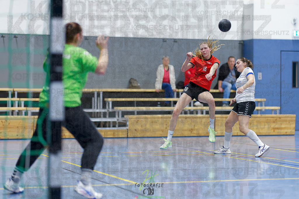 Frauen 2. Bezirksklasse; SG Rechtenbach - HSG Linden II | Frauen 2. Bezirksklasse; SG Rechtenbach - HSG Linden II am 16.11.2025 in Rechtenbach (Sporthalle Rechtenbach)Photo © 2025 - Jörg Heinrich - Realisiert mit Pictrs.com