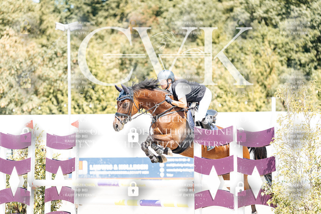 CK900736 | Turnierfotografie Pferdefotografie Trier Rheinland-Pfalz Pferdesport Reitsport Tierfotografie Sportfotografie Pferdevideo Pferdevideografie Equestrianvideography equestrianphotography  - Realisiert mit Pictrs.com