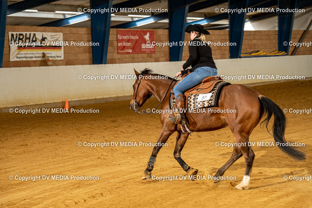 MIT00301 | dv-media-shop - Realisiert mit Pictrs.com