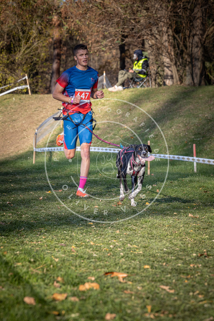 CaniXpix_0L8A9046 | Hundefotografie, Tierfotograf, Pfotenfotografie, Fotoshooting Hund, Hunde Portrait, Hundesport, Hundeportraits, Heideshooting, Hunde, Sportfotograf, Hundefotograf, Turnierhundsport, THS,  - Realisiert mit Pictrs.com