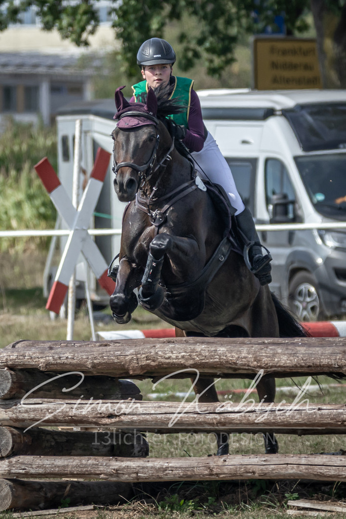 20250907-_3LR7914 | Tierfotografie Pferde, Hunde, Katzen, Haustiere.
Turnierfotografie Reitturniere, Reiten, Springreiten, Dressur in Hanau, dem Main-Kinzig-Kreis und dem Rhein-Main- Gebiet um Frankfurt