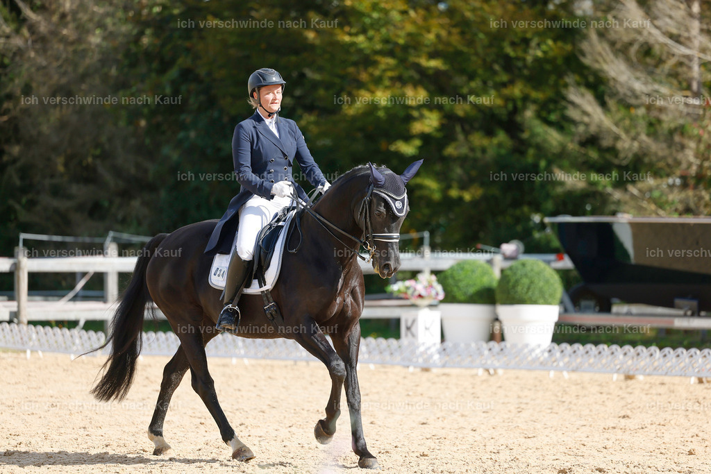 09_2-034-DRESSUR  S_  -StoibPH-5826 | working equitationturnier fotograf videograf stoibphotography marixx film working equitation deutschland reitsport turnierfotografie eventfotografie equestrian events