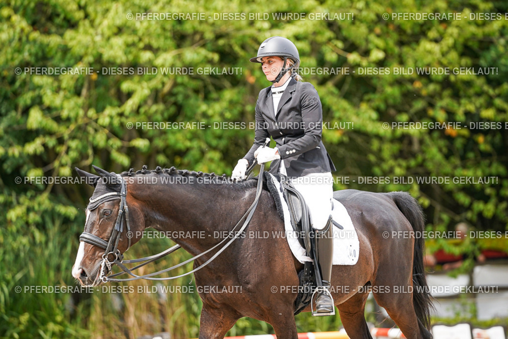 DSC05786 | Pferdegrafie