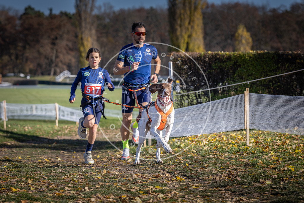 CaniXpix_DV3A8050 | Hundefotografie, Tierfotograf, Pfotenfotografie, Fotoshooting Hund, Hunde Portrait, Hundesport, Hundeportraits, Heideshooting, Hunde, Sportfotograf, Hundefotograf, Turnierhundsport, THS,  - Realisiert mit Pictrs.com