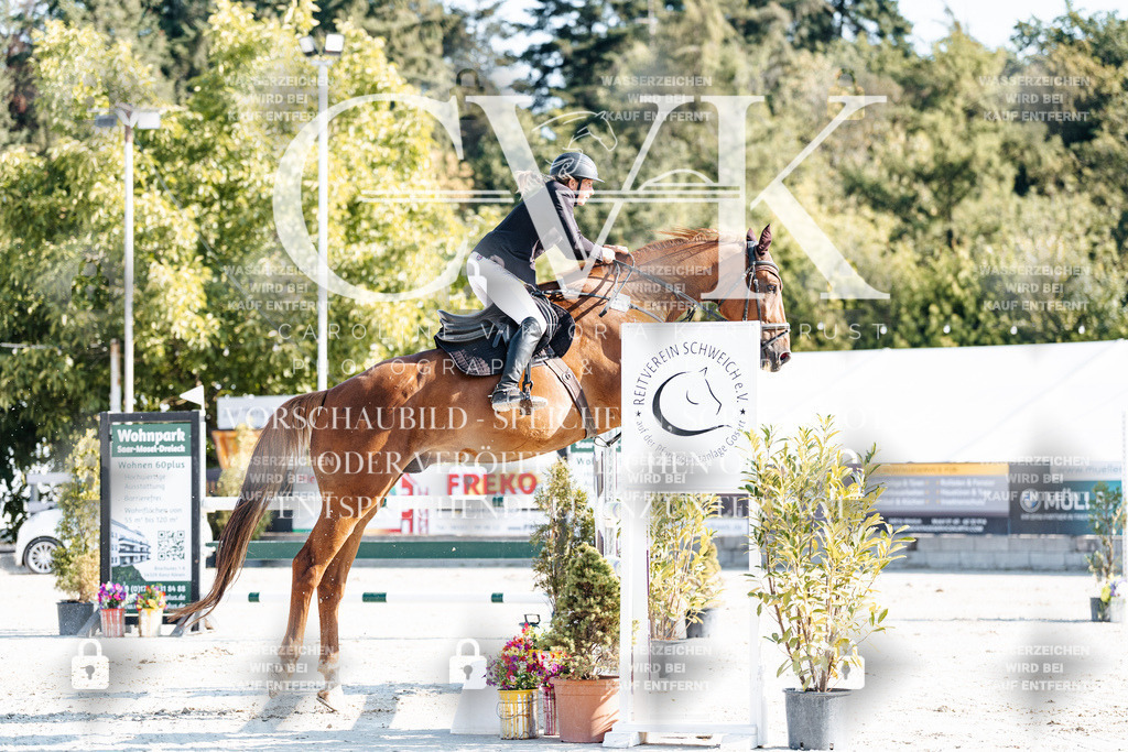 CK901674 | Turnierfotografie Pferdefotografie Trier Rheinland-Pfalz Pferdesport Reitsport Tierfotografie Sportfotografie Pferdevideo Pferdevideografie Equestrianvideography equestrianphotography  - Realisiert mit Pictrs.com