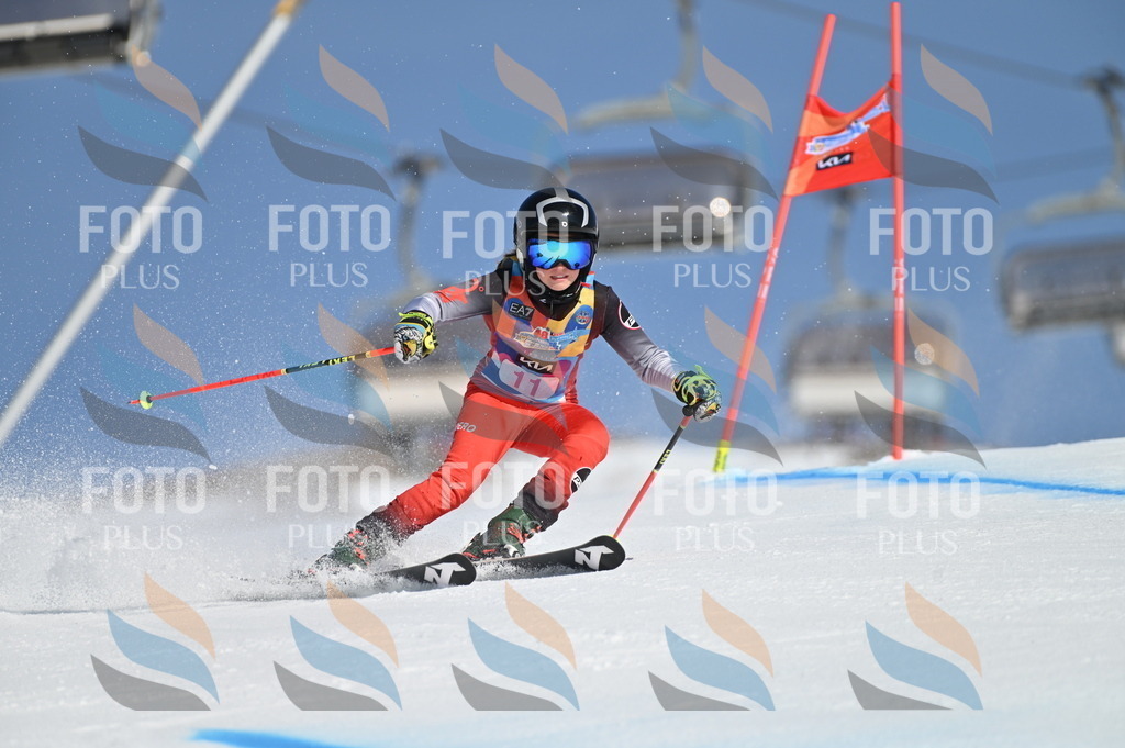 BGV_7771 | holidayphoto