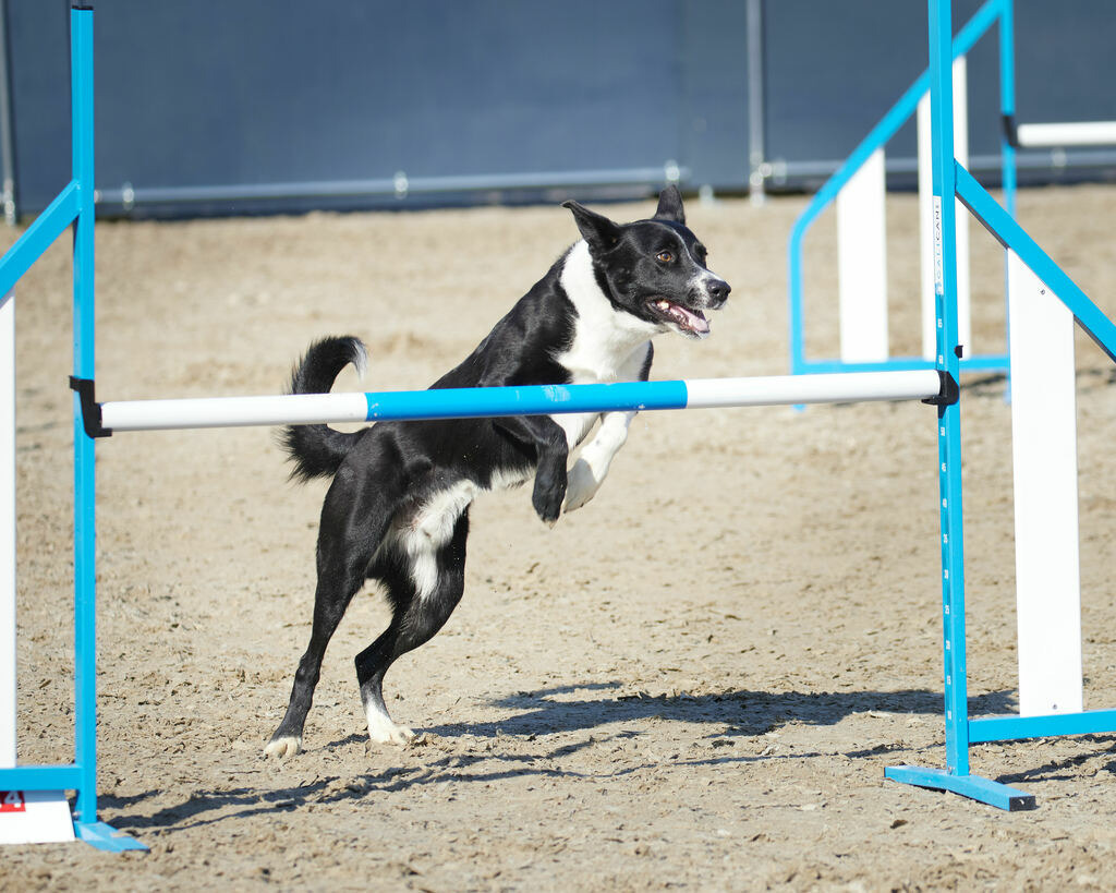 580A0152 | Peter Fridle Fotografie - Realisiert mit Pictrs.com