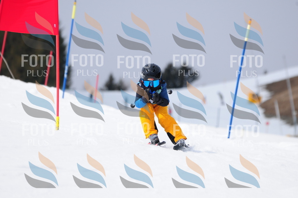 A3818 | holidayphoto