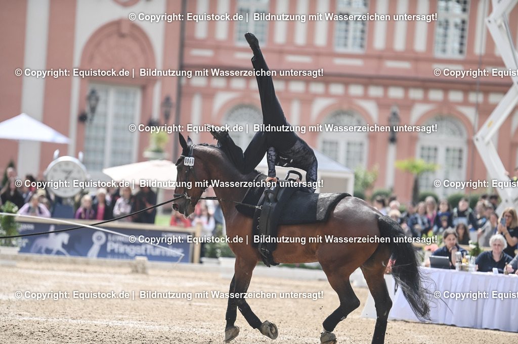 20240519_Voltige_0532 | Foto: Thomas Hartig