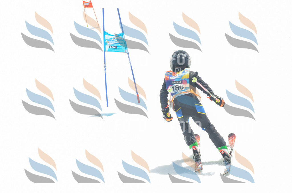 _ELE6748 | holidayphoto