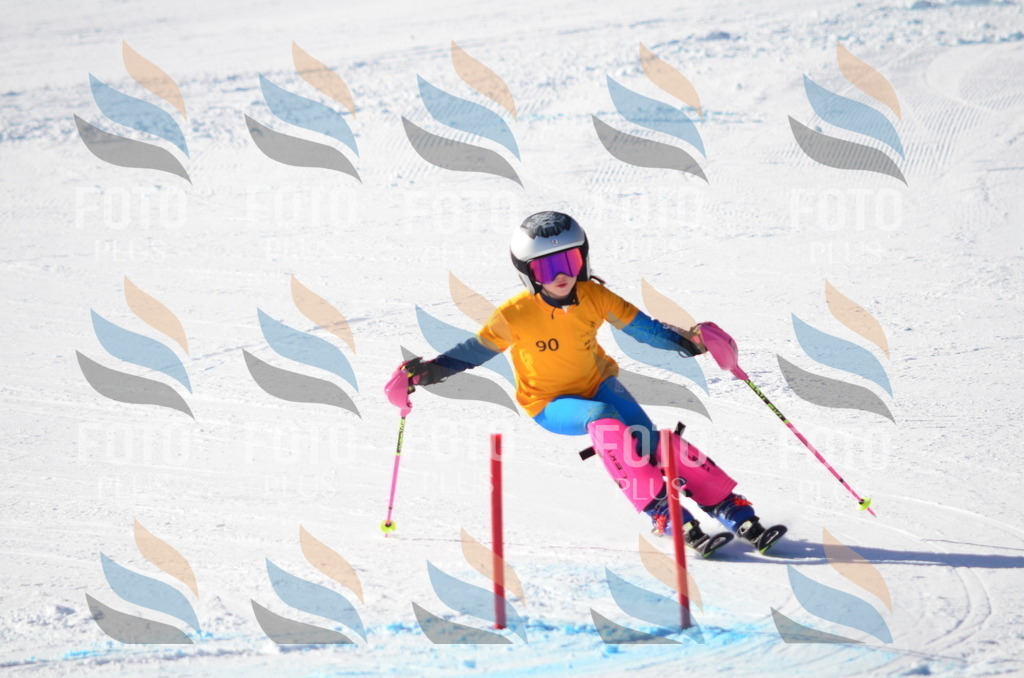 C6063 | holidayphoto