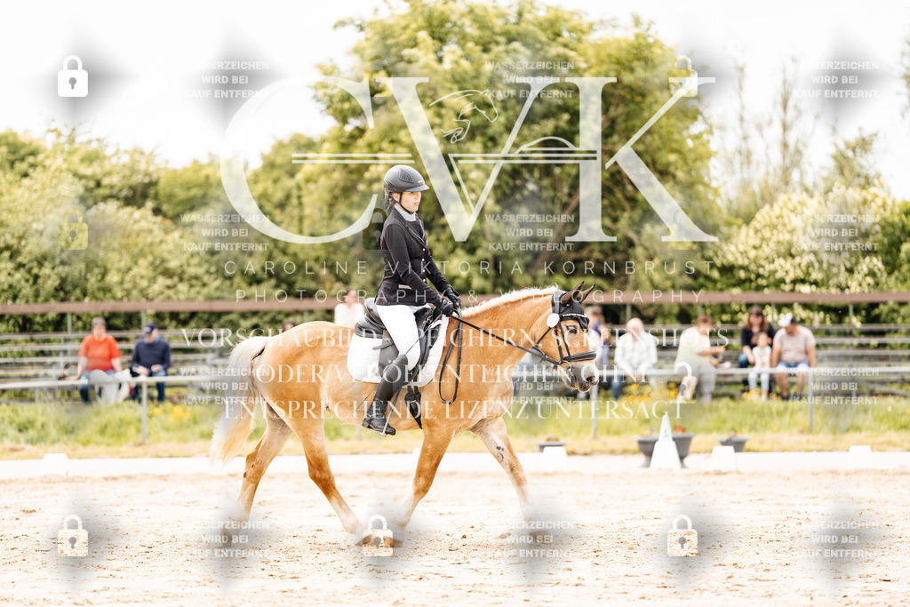 CK902944 | Turnierfotografie Pferdefotografie Trier Rheinland-Pfalz Pferdesport Reitsport Tierfotografie Sportfotografie Pferdevideo Pferdevideografie Equestrianvideography equestrianphotography  - Realisiert mit Pictrs.com