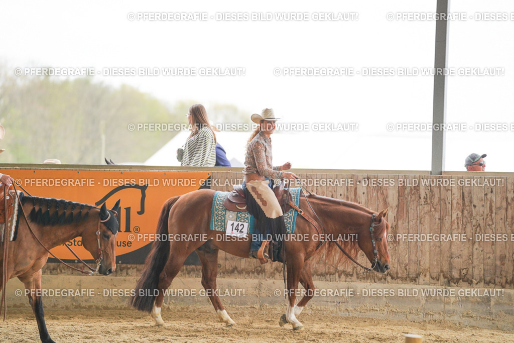 DSC03258 | Pferdegrafie