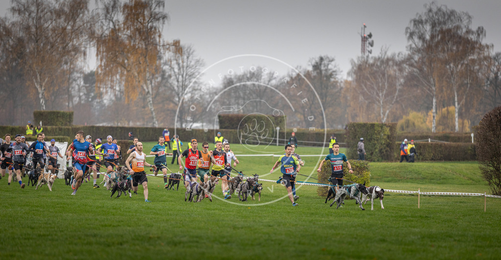 CaniXpix_DV3A9425 | Hundefotografie, Tierfotograf, Pfotenfotografie, Fotoshooting Hund, Hunde Portrait, Hundesport, Hundeportraits, Heideshooting, Hunde, Sportfotograf, Hundefotograf, Turnierhundsport, THS,  - Realisiert mit Pictrs.com