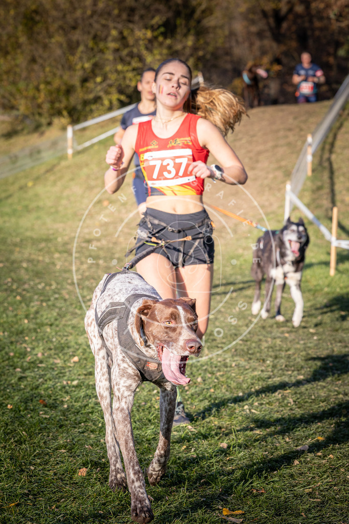 CaniXpix_0L8A9825 | Hundefotografie, Tierfotograf, Pfotenfotografie, Fotoshooting Hund, Hunde Portrait, Hundesport, Hundeportraits, Heideshooting, Hunde, Sportfotograf, Hundefotograf, Turnierhundsport, THS,  - Realisiert mit Pictrs.com