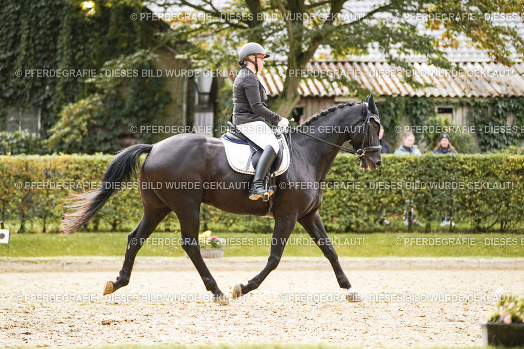 DSC01153 | Pferdegrafie