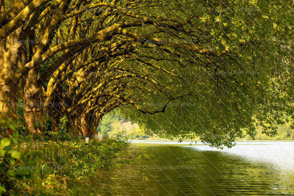 IMG_7419 | Rolf Wittke  - Realisiert mit Pictrs.com