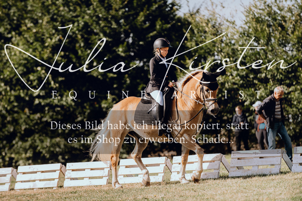 DSC_7040 | Pferde- und Turnierfotografie in Westsachsen. Pferdeportraits, Auftragszeichnungen und intuitive Kunst.