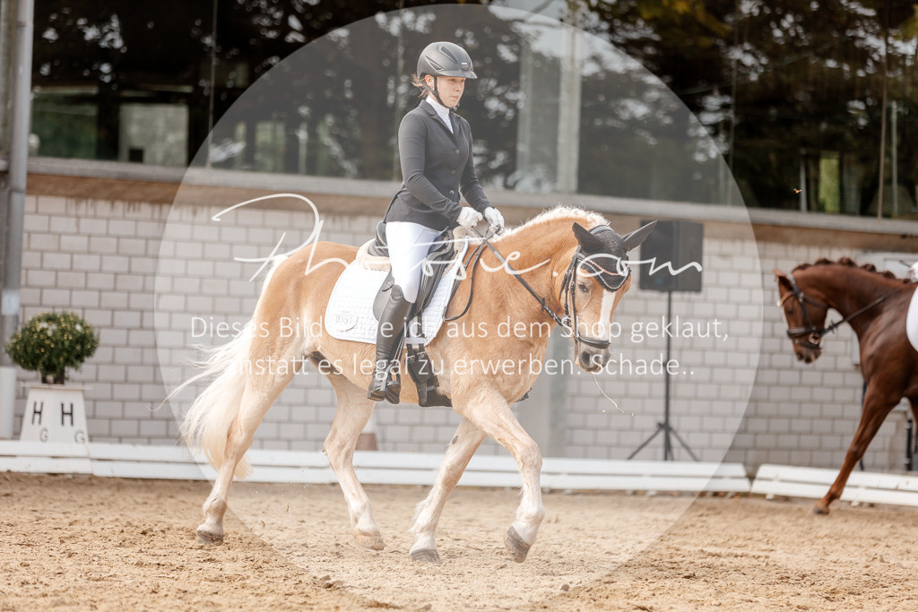 3I6A4035 | Stimmungsvolle Portraits und Reitsportfotografie im Ruhrgebiet und im Münsterland.

Pferdefotografie, Hundefotografie, Tierfotografie, Reportagen, Portraits von Tier und Mensch, Turnierfotografie in Bochum, Recklinghausen, Marl, Haltern am See, Dülmen.. - Realisiert mit Pictrs.com