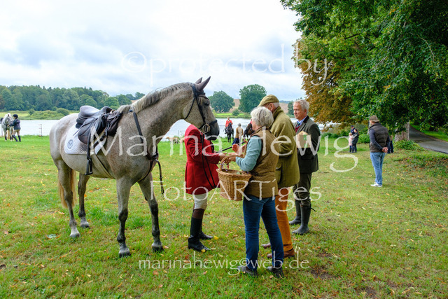 Jagd Kletkamp 26-9618_MarinaHewig | Fotografie, FotoArt, PferdesportArt, Pferdesportfotografie, Landschaftsfotografie, Reisefotografie, Reise, Pferde - Realisiert mit Pictrs.com
