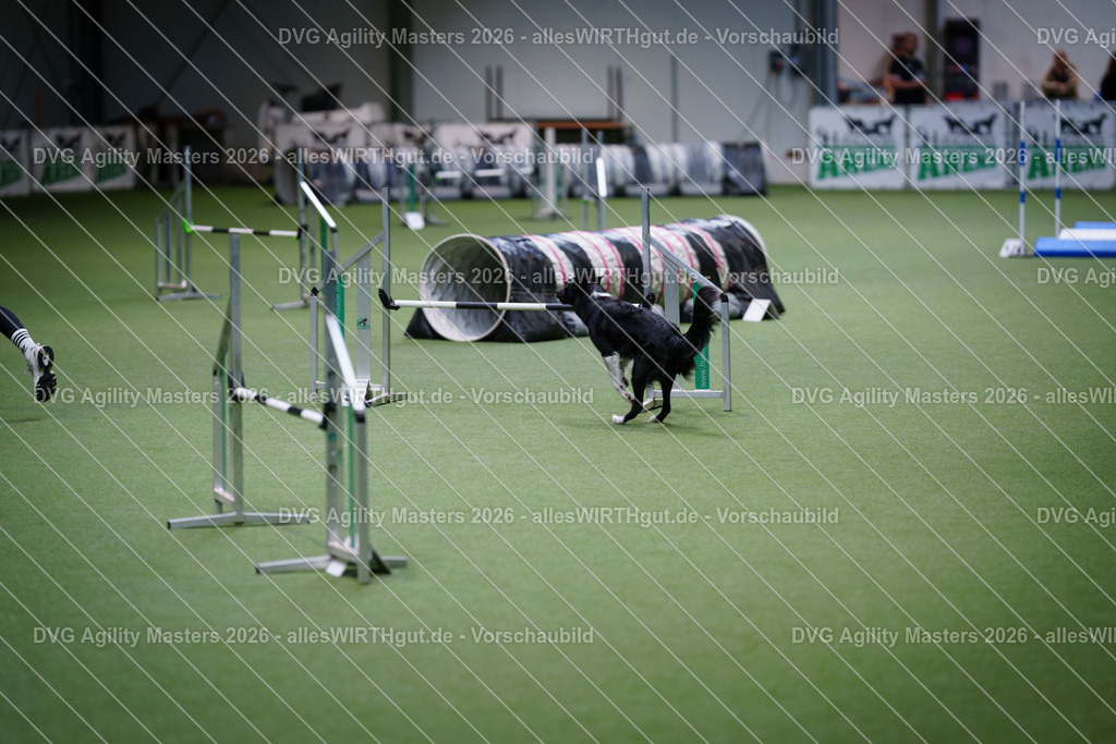 allesWIRTHgut_Tierfotografie-DVG_Agility_Masters_2026-10_06-7R509928 | Professionelle Tierfotografie in Mönchengladbach von Daniel Wirth (allesWIRTHgut). Liebevolle & natürliche Bilder von Hunden & Katzen für unvergessliche Erinnerungen.