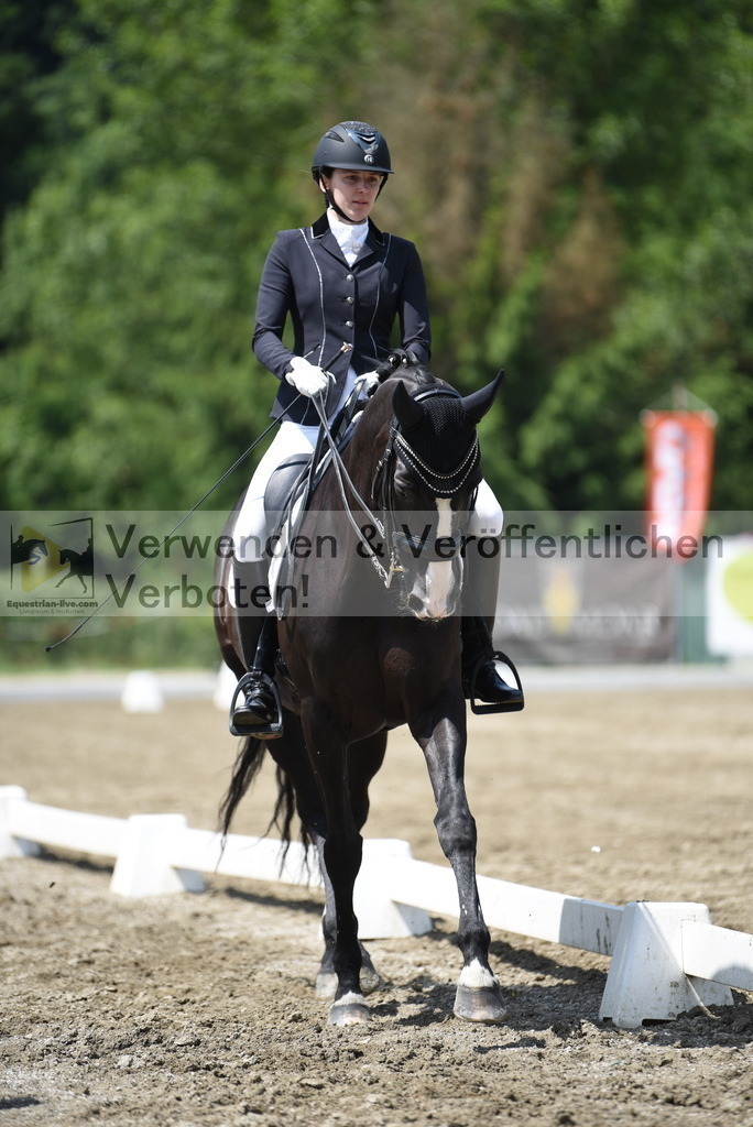 DSC_8981 | equestrian-live-com