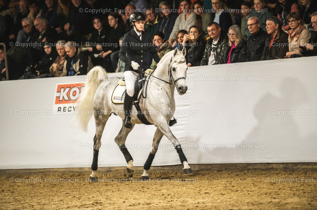 20240302_Hengstvorstellung_Marbach_TOMsPiC_1055-2 | equistock