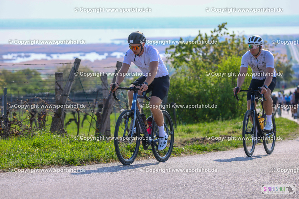 TRA_0186 | Neusiedlersee Radmarathon 2026@sportshot_your_pictrs #yourpictures#roadtowm2029 #nrm #neusiedlerseeradmarathon #neusiedlersee #neusiedlerseetourismus #burgenland #mörbisch #nrm26 #burgenlandtourismus #voglundco #poweredbyburgenlandtourismus #radsport #rad #marathon #ucigranfondo #visitburgenland #ucigranfondoworldseries