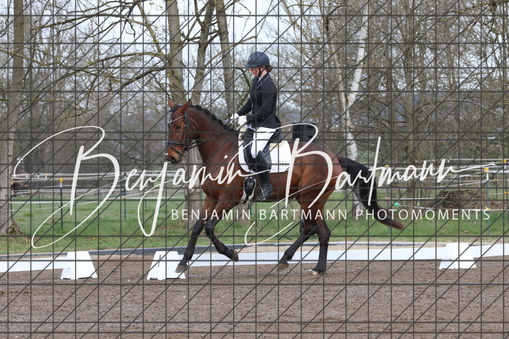 AZ2A6449 | Benjamin Bartmann Photomoments