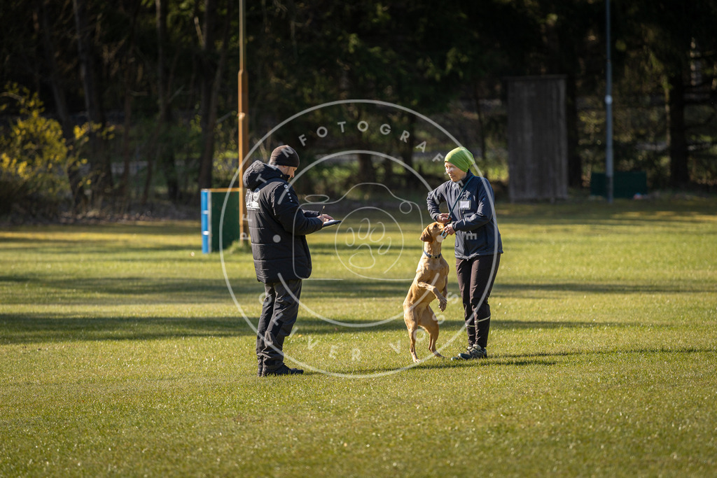 Pfotenfotografie_DV3A0117 | Hundefotografie, Tierfotograf, Pfotenfotografie, Fotoshooting Hund, Hunde Portrait, Hundesport, Hundeportraits, Heideshooting, Hunde, Sportfotograf, Hundefotograf, Turnierhundsport, THS,  - Realisiert mit Pictrs.com