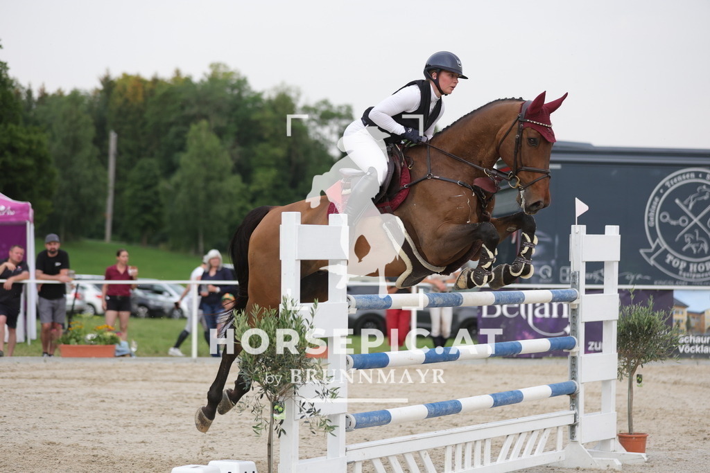 0P6A2173 | Willkommen bei Brunnmayr - Design & Fotografie – Ihrem Spezialisten für Reitturniere und Pferdeveranstaltungen in Oberösterreich, Salzburg und Bayern! Seit über 17 Jahren sind wir leidenschaftlich dabei.