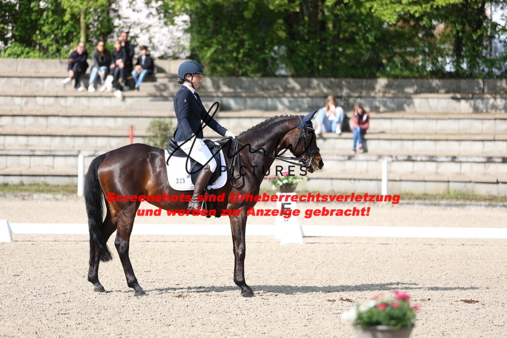 A40A3819 | lmwpictures - Realisiert mit Pictrs.com