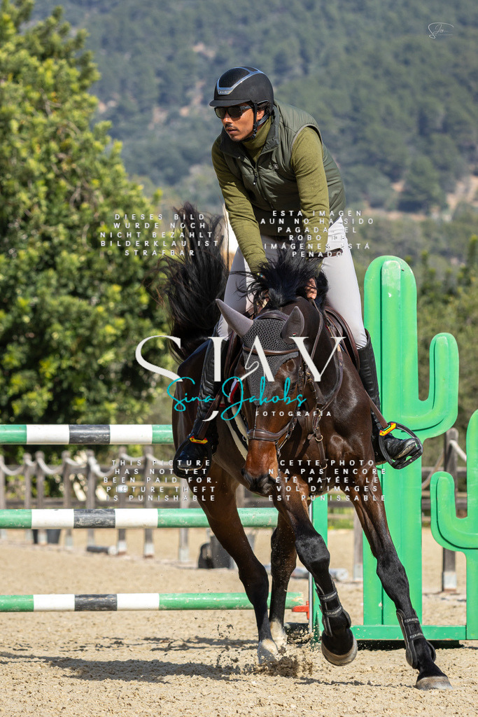 IMG_6655 | s-jay-photography - Realisiert mit Pictrs.com